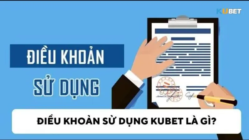 Chính sách điều khoản sử dụng