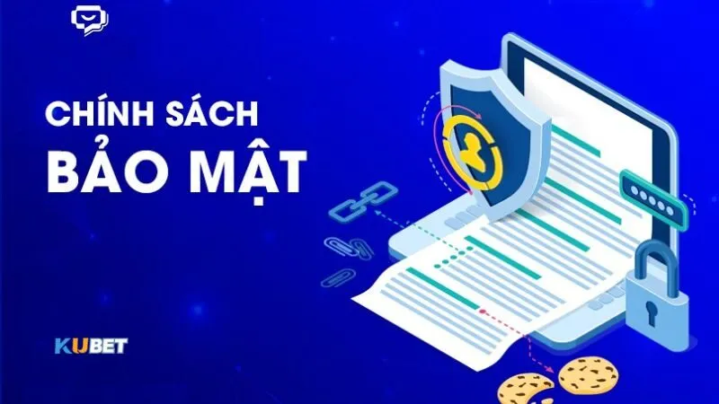 Nhà cái thu thập dữ liệu Media